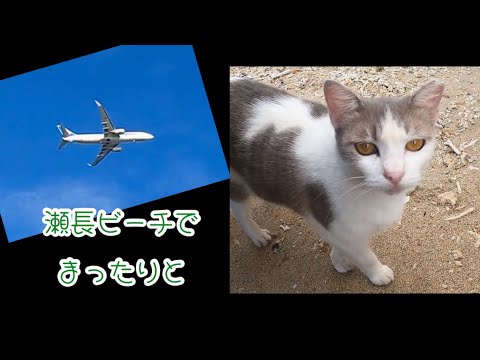 飛行機が✈️よく見える　　　人気のスポット　ウミカジテラスが大混雑🥲　　　2024年9月30日