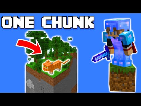 An Adorable Side Quest On The One Chunk Minecraft World! (#6) #shorts