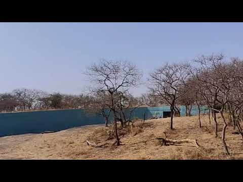 માનવભક્ષી દીપડાઓ માટેનુ કેદખાનું - Look inside Gir Forest Jail for Man eater Leopards