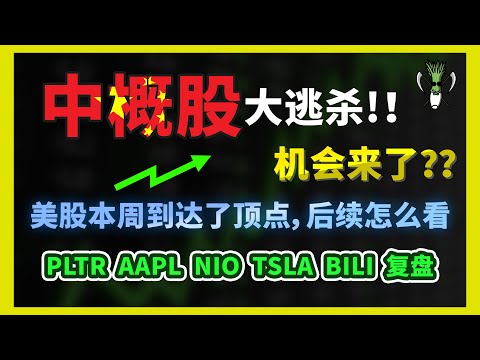 中概股 大逃杀，投资 机会来了？！ 美股 大盘 这周到达了顶点？后续应该怎么看？ PLTR NIO TESLA BILI BABA AAPL 复盘 | CHIVEST美股分析 | 11.7.2021