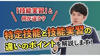 【7分で解説】特定技能と技能実習は何が違う？