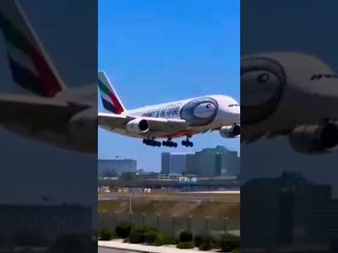 airport plane landing #shorts