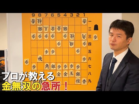 【欠かせない】金無双の鉄則五選＋1！？ vol.98