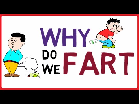 Why do we fart