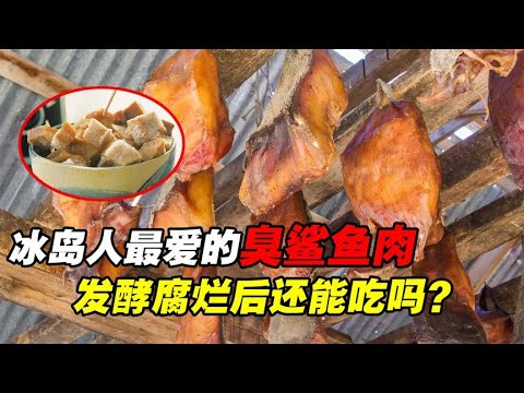 冰岛“黑暗料理”，比鲱鱼罐头还臭的腌鲨鱼肉，难吃还含有毒素