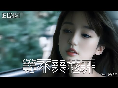 等不来花开🎧抖音热门歌曲 🎧 EDM 中文歌曲 华语 Music🎧抖音热门歌曲 🎧 EDM 中文歌曲 华语 Music