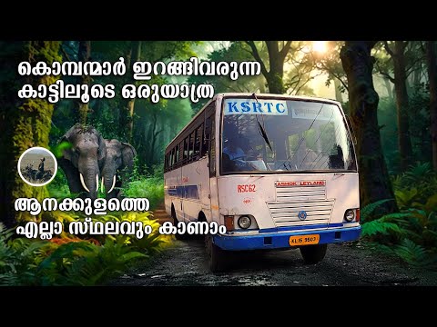 Anakkulam | കൊമ്പന്മാരുടെ കാട്ടിലൂടെ ഒരുയാത്ര | Anakkulam Ksrtc BusTrip | Idukki | Mankulam |free20