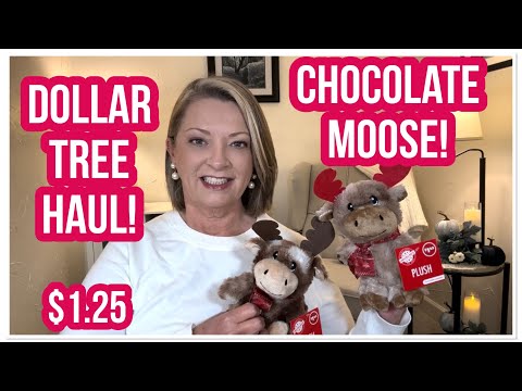 DOLLAR TREE HAUL | CHOCOLATE MOOSE😆 | $1.25 | WOW | THE DT NEVER DISAPPOINTS😊 #haul #dollartree