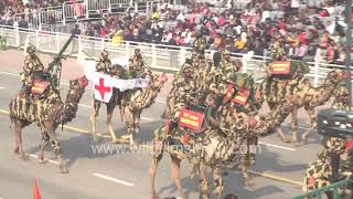 Camels that protect India march on Delhi's roads: Border Security Force ushtra regiment