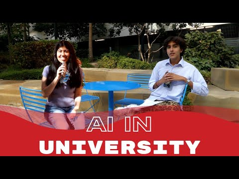 Student's Perspective: Contemporary AI Use in Universities