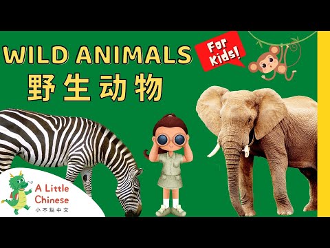 22 Wild Animals 野生动物 | Simple Vocabulary in Chinese | Learn Chinese for Kids, Toddlers, & Babies