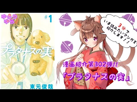 【ほぼ3分間でいま読むべき漫画がわかる】ゆらちゃんねる　ゆらりゆらは語りたい　漫画紹介第302弾　「プラタナスの実」