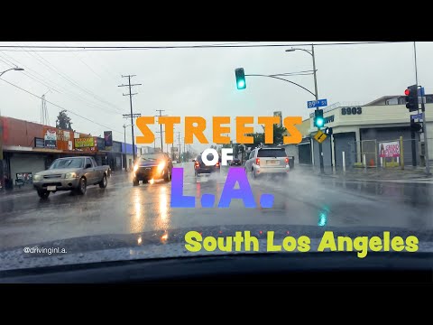 RAINY DAY IN FEBRUARY 2024 | STREETS OF L.A. | 4K #rain