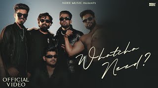 Ndee Kundu - Whatcha Need? (feat. Haryanvi Hunters) Official Music Video