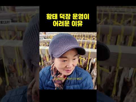 황태 덕장 운영이 어려운 이유 | 소상공인시장tv #shorts