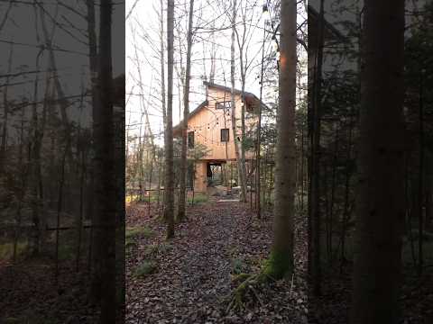 Off-Grid & Sustainable Luxury Tiny Treehouse! (60 Second Airbnb Tour)