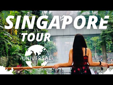 Singapore Tour | Flyer, Universal Studios, Bugis Street,China Town, Changi Airport