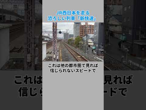 JR西日本を走る、関東民をビビらせる列車（鉄道、JR西日本、新快速）