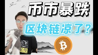 币市暴跌，区块链凉了？？？比特币BTC bitcoin 狗狗币 以太坊ETH BCH比特现金 区块链 币圈猫叔 去中心化