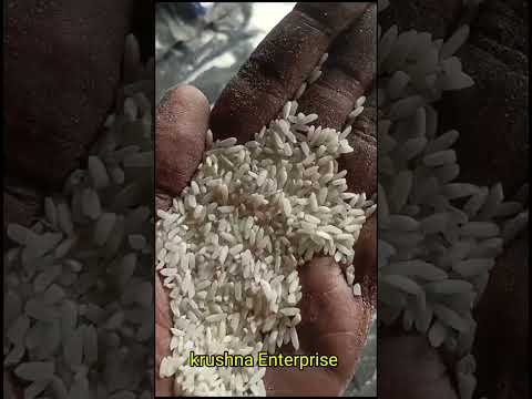 LOTS Rice |  Rice Wholesale Market in Delhi | Rice Purchase | Wholesale Rice Business | Bulk Lots