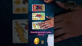 Financial Opportunity coming your way timeless Tarot card reading in Hindi by Viceee