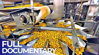 Inside Food Factories: Mega Snack Production | FD Engineering