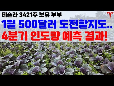 필수참고) 중국 마지막 주의 비밀(9일치 판매량!), 500달러 도전 과정 중에 참고할 내용 다 담아 봤습니다!