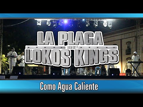 PLAGA LOKOS KINGS como agua caliente EN VIVO 2024