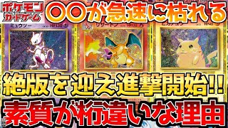 【ポケカ】ようやく日の目を浴びる？ポテンシャルがレベチなわけは〇〇!!【ポケモンカード最新情報】Pokemon Cards