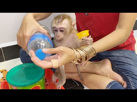 Cute Baby Boy Watching Mom Mix Milk To Drink