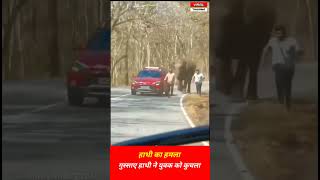 गुस्साए हाथी ने आदमी को कुचला ! Elephant attack viral video ! Kerala News ! #Short