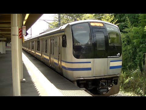 JR横須賀線E217系Y-113編成普通逗子行き 衣笠駅発車