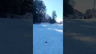 Shogran Today latest update | Shogran February