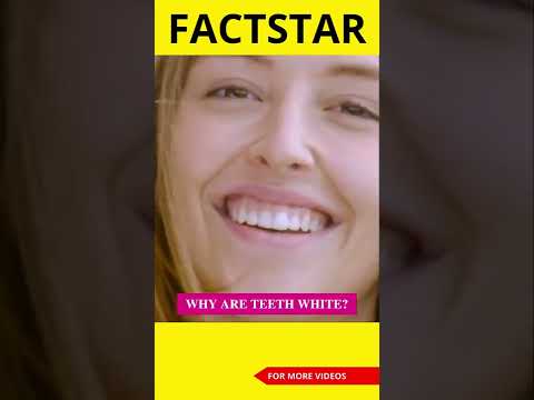 Daat white hi kyu होते है? | #factstarshorts #youtubeshorts #shorts #ytshorts