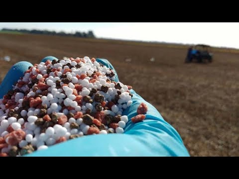 Efectividad de los Fertilizantes Agrícolas.