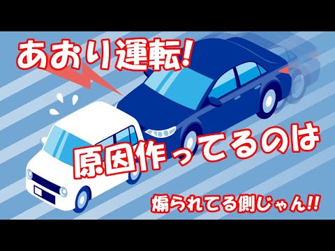 あおり運転! 原因作ってるのは煽られてる側じゃん!!