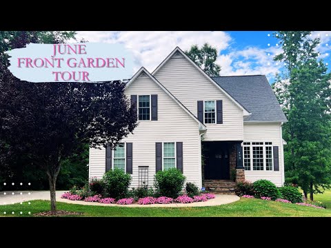 June Front Yard Tour | Cottage Garden Vibes And Stunning Supertunias | The Southern Daisy