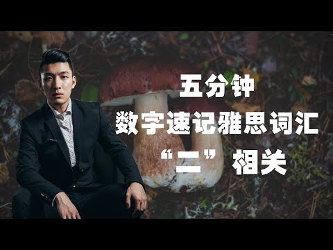 跟数字有关前缀们，十分钟速记雅思IELTS词汇“二”！