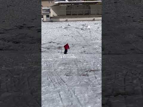 スノースクート小ジャンプ豊平どんぐり村雪遊び20241230