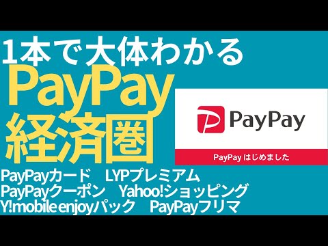 【全解説】PayPay経済圏完全ガイド！お得にポイントを貯める！効率的な活用法を解説します！