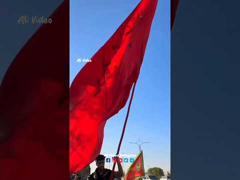 Arbaeen walk karbala WatsApp Status 1446/2024 #shortvideo