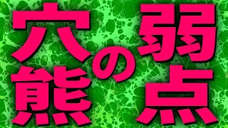 穴熊の弱点は「端攻め」だけじゃなかった