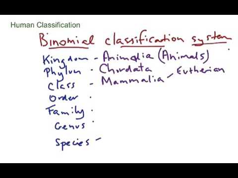 Human Classification