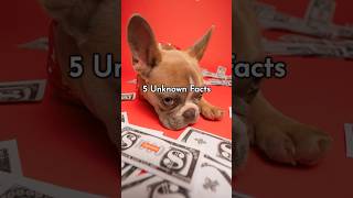 Unknown Facts About Animals part 2 #shorts #facts