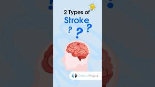 2 Main Types of Stroke #physicaltherapy #stroke #physiotherapy