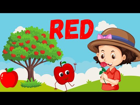 Learning Colors Made Fun! 🎉 | Red, Blue, Green, and More | Learn All About Colors