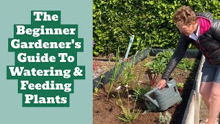 Beginner's Guide To Watering & Feeding Plants