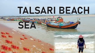 Talsari Sea Beach Video Tour Guide News Fish Market Vlog RedCrab Hotel Subarna Island Udaipur Odisha