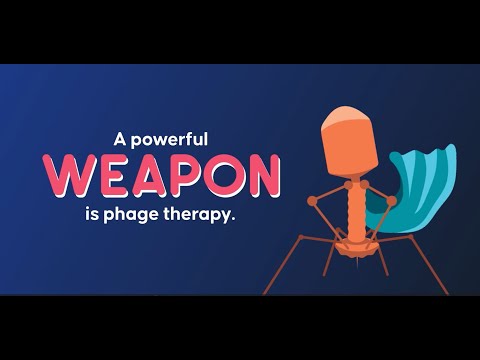 How phage therapy fights superbugs