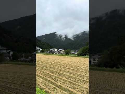 Beautiful Japanese Countryside Village #shorts #walkingtour #japan #travel